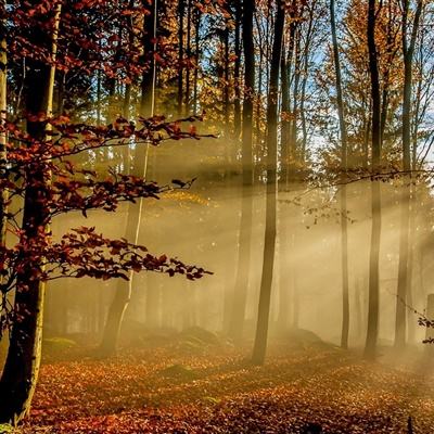 凯发游戏手机app下载截图